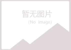 岐山县靖易培训有限公司